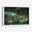 Monarca - Caed Vidrio | Cuadro decorativo de Canvas Lab