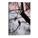 Silueta de un Toh. - Claudia Luna | Cuadro decorativo de Canvas Lab