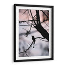 Silueta de un Toh. - Claudia Luna | Cuadro decorativo de Canvas Lab