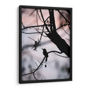 Silueta de un Toh. - Claudia Luna | Cuadro decorativo de Canvas Lab