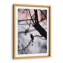 Silueta de un Toh. - Claudia Luna | Cuadro decorativo de Canvas Lab