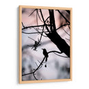 Silueta de un Toh. - Claudia Luna | Cuadro decorativo de Canvas Lab