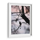 Silueta de un Toh. - Claudia Luna | Cuadro decorativo de Canvas Lab