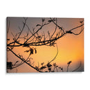 Colores de un atardecer entre las ramas - Claudia Luna | Cuadro decorativo de Canvas Lab