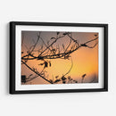 Colores de un atardecer entre las ramas - Claudia Luna | Cuadro decorativo de Canvas Lab