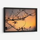 Colores de un atardecer entre las ramas - Claudia Luna | Cuadro decorativo de Canvas Lab