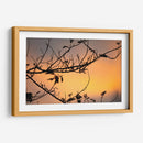 Colores de un atardecer entre las ramas - Claudia Luna | Cuadro decorativo de Canvas Lab