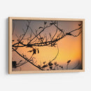 Colores de un atardecer entre las ramas - Claudia Luna | Cuadro decorativo de Canvas Lab
