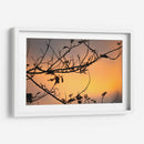 Colores de un atardecer entre las ramas - Claudia Luna | Cuadro decorativo de Canvas Lab