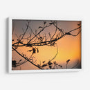 Colores de un atardecer entre las ramas - Claudia Luna | Cuadro decorativo de Canvas Lab