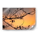 Colores de un atardecer entre las ramas - Claudia Luna | Cuadro decorativo de Canvas Lab