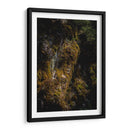 Musgo - Caed Vidrio | Cuadro decorativo de Canvas Lab