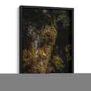 Musgo - Caed Vidrio | Cuadro decorativo de Canvas Lab