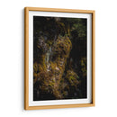 Musgo - Caed Vidrio | Cuadro decorativo de Canvas Lab