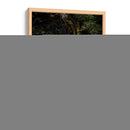 Musgo - Caed Vidrio | Cuadro decorativo de Canvas Lab