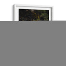 Musgo - Caed Vidrio | Cuadro decorativo de Canvas Lab