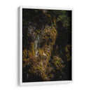 Musgo - Caed Vidrio | Cuadro decorativo de Canvas Lab