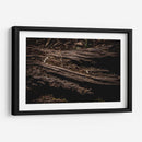 Raíz - Caed Vidrio | Cuadro decorativo de Canvas Lab