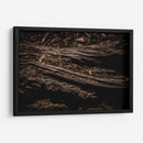 Raíz - Caed Vidrio | Cuadro decorativo de Canvas Lab