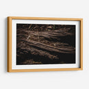 Raíz - Caed Vidrio | Cuadro decorativo de Canvas Lab