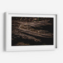 Raíz - Caed Vidrio | Cuadro decorativo de Canvas Lab