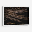 Raíz - Caed Vidrio | Cuadro decorativo de Canvas Lab