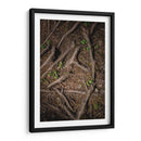 Raíz 2 - Caed Vidrio | Cuadro decorativo de Canvas Lab