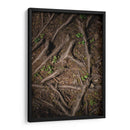 Raíz 2 - Caed Vidrio | Cuadro decorativo de Canvas Lab