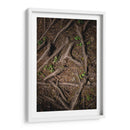 Raíz 2 - Caed Vidrio | Cuadro decorativo de Canvas Lab