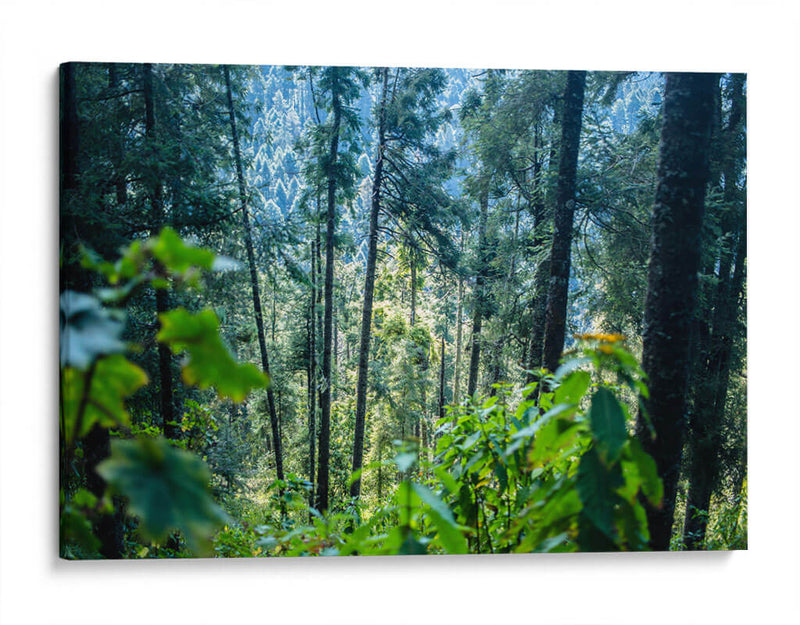 Santuario 1 - Caed Vidrio | Cuadro decorativo de Canvas Lab