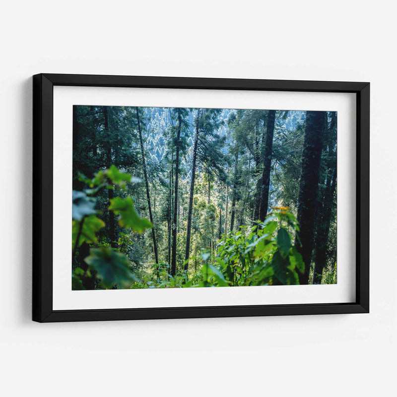 Santuario 1 - Caed Vidrio | Cuadro decorativo de Canvas Lab