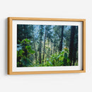 Santuario 1 - Caed Vidrio | Cuadro decorativo de Canvas Lab