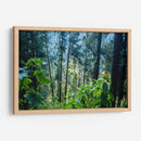 Santuario 1 - Caed Vidrio | Cuadro decorativo de Canvas Lab