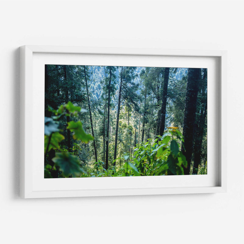 Santuario 1 - Caed Vidrio | Cuadro decorativo de Canvas Lab