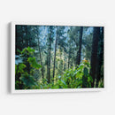 Santuario 1 - Caed Vidrio | Cuadro decorativo de Canvas Lab