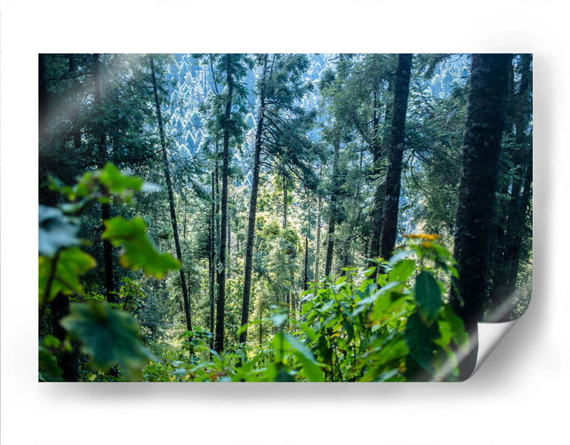 Santuario 1 - Caed Vidrio | Cuadro decorativo de Canvas Lab