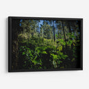 Santuario 2 - Caed Vidrio | Cuadro decorativo de Canvas Lab