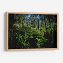 Santuario 2 - Caed Vidrio | Cuadro decorativo de Canvas Lab