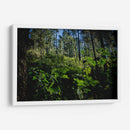 Santuario 2 - Caed Vidrio | Cuadro decorativo de Canvas Lab