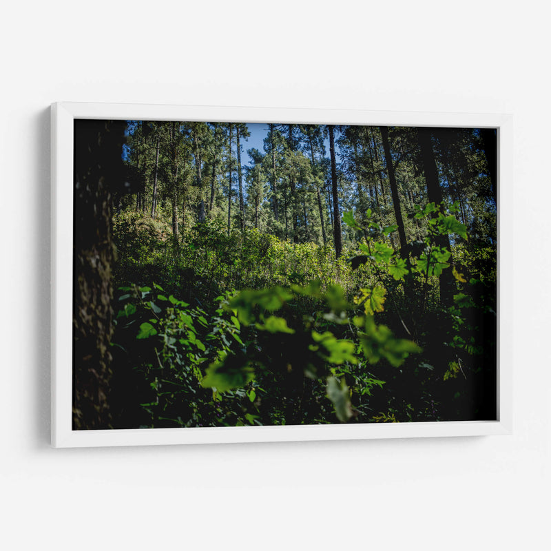 Santuario 2 - Caed Vidrio | Cuadro decorativo de Canvas Lab