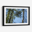 Santuario 3 - Caed Vidrio | Cuadro decorativo de Canvas Lab