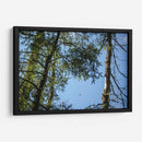 Santuario 3 - Caed Vidrio | Cuadro decorativo de Canvas Lab