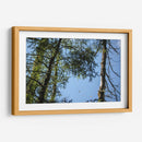 Santuario 3 - Caed Vidrio | Cuadro decorativo de Canvas Lab