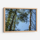 Santuario 3 - Caed Vidrio | Cuadro decorativo de Canvas Lab