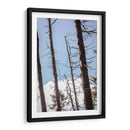 Santuario 4 - Caed Vidrio | Cuadro decorativo de Canvas Lab