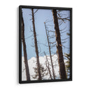 Santuario 4 - Caed Vidrio | Cuadro decorativo de Canvas Lab