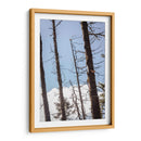 Santuario 4 - Caed Vidrio | Cuadro decorativo de Canvas Lab