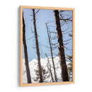 Santuario 4 - Caed Vidrio | Cuadro decorativo de Canvas Lab