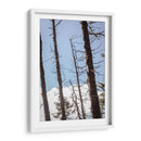 Santuario 4 - Caed Vidrio | Cuadro decorativo de Canvas Lab