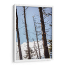 Santuario 4 - Caed Vidrio | Cuadro decorativo de Canvas Lab